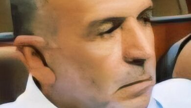 صورة حين تتحول الرداءة إلى نظام / سيدي عيلال