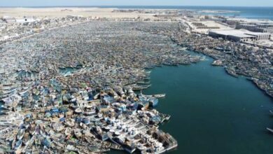 صورة استئناف صيد الأخطبوط من نواذيبو وسط مطالب بحماية البحّارة