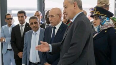 صورة رئيس سلطة تنظيم النقل الطرقي… مسيرة مهنية حافلة بالإصلاح والإنجاز ( سيدي محمد ولد حلس )