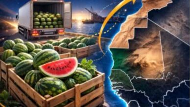 صورة المغرب يفرض رسوما مرتفعة تعرقل دخول البطيخ الموريتاني إلى السوق المغربي