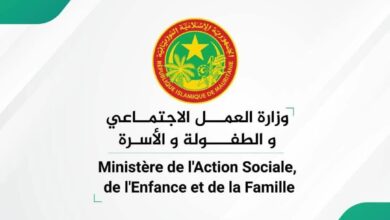 صورة وزارة العمل الاجتماعي تعلن تنظيم الدورة الأولى للأسبوع الوطني للمرأة