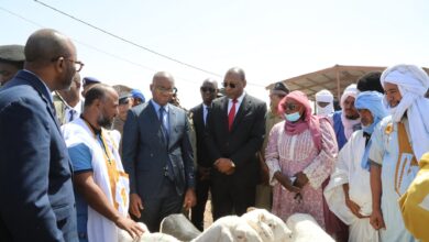 صورة وزير التنمية الحيوانية يؤديان زيارة لسوق المواشي في الميناء