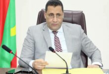 صورة ولد اجاي يدعو إلى إنشاء إطار منظم لتصدير الثروة الحيوانية