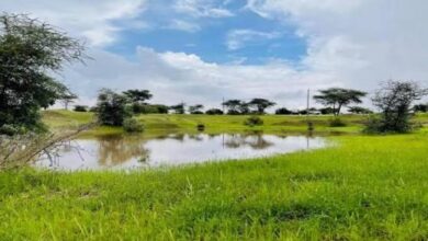 صورة طقس غائم جزئيا وأمطار خفيفة مرتقبة بعدة مناطق