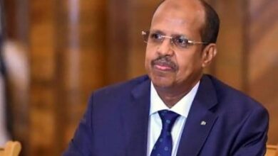 صورة الاتحاد الإفريقي يدين هجمات مالي ويعرب عن تضامنه مع السلطات والسكان