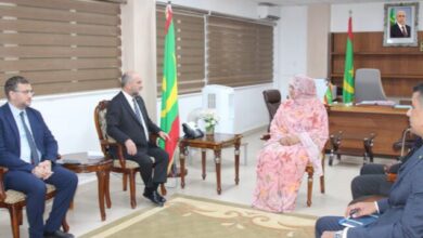 صورة وزيرة الإسكان تستقبل السفير التركي