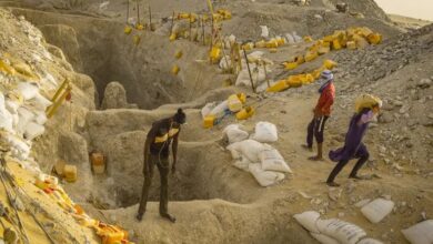 صورة شركة كندية تحصل خمس رخص للتنقيب عن الذهب في موريتانيا