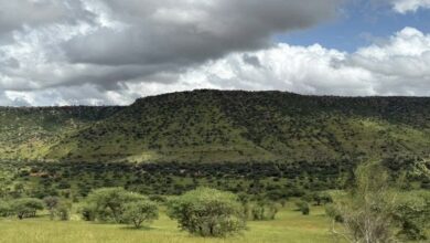 صورة أمطار متفاوتة في مناطق مختلفة من موريتانيا
