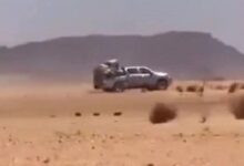 صورة وفاة منقب بسبب العطش وإنقاذ منقبين آخرين