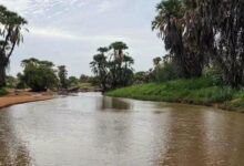 صورة أمطار على مناطق واسعة من ثماني ولايات