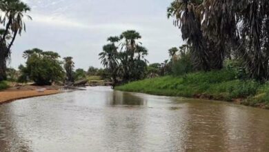 صورة أمطار على مناطق واسعة من ثماني ولايات