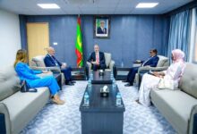 صورة وزير التكوين المهني يبحث مع مسؤول بالويبو تعزيز التعاون
