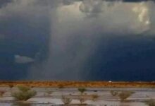 صورة الهيئة الوطنية للأرصاد الجوية تتوقع تساقطات مطرية في عدة ولايات