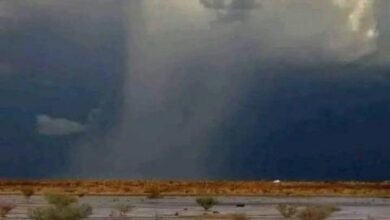 صورة الهيئة الوطنية للأرصاد الجوية تتوقع تساقطات مطرية في عدة ولايات