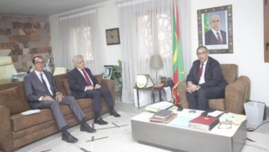 صورة وزير التعليم العالي يبحث علاقات التعاون مع السفير المصري بنواكشوط