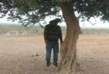 صورة العثور على جثة شاب معلقة بشجرة بين الزويرات وإفديرك