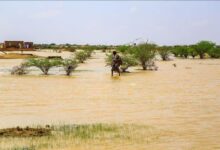 صورة تساقطات مطرية متفاوتة في مناطق من الحوضين وكيديماغا