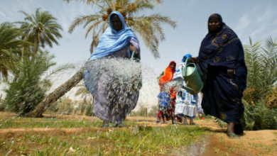 صورة موريتانيا تستعد لاعتماد التأمين الزراعي القائم على المؤشرات
