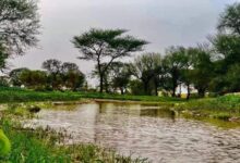 صورة كميات المطر خلال 24 ساعة الماضية على ثلاث ولايات من البلاد