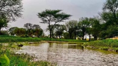 صورة كميات المطر خلال 24 ساعة الماضية على ثلاث ولايات من البلاد
