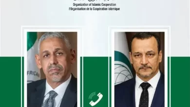 صورة اتصال بين قيادتي البنك الإفريقي للتنمية والتعاون الإسلامي
