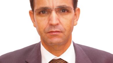 صورة إسماعيل ولد باباه في منظمة التعاون الإسلامي: مكسبٌ استراتيجيٌ لموريتانيا / د.أحمد يوره ولد حي