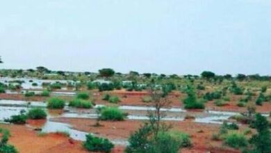 صورة تساقطات مطرية هامة .. مقاييس