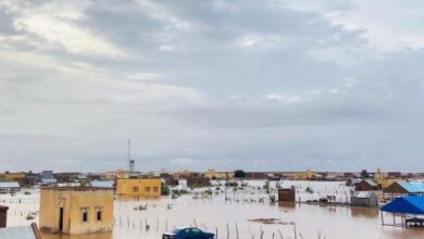 صورة تساقطات مطرية في عدد من ولايات الوطن (مقاييس)