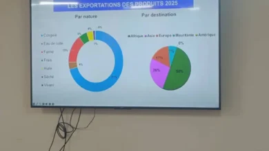 صورة 15% من صادرات الأسماك بموريتانيا 2025 كانت من دقيق السمك