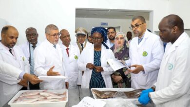 صورة وزيرة الصيد تتفقد مؤسسات القطاع في نواذيبو
