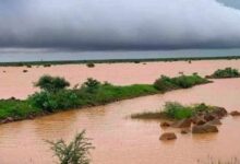 صورة أمطار غزيرة تجاوزت 140مم على مناطق متفرقة من البلاد  .. مقاييس