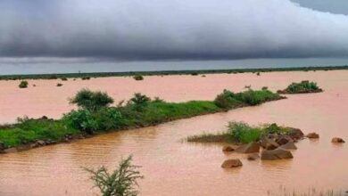 صورة أمطار غزيرة تجاوزت 140مم على مناطق متفرقة من البلاد  .. مقاييس