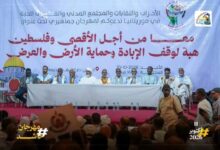 صورة موريتانيا :  القوى السياسية والمدنية تنظم مهرجانا جماهيريا تضامنا مع فلسطين